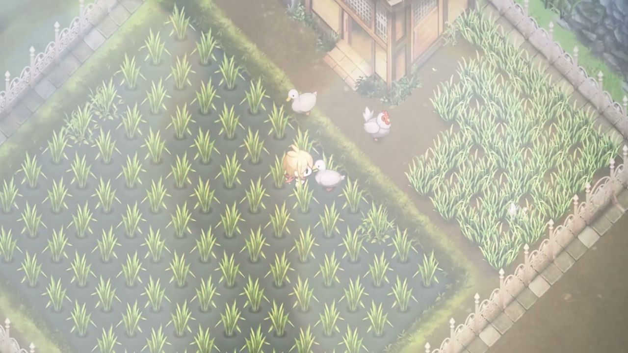 Official Village in the Shade footage: ducks and chickens in the garden